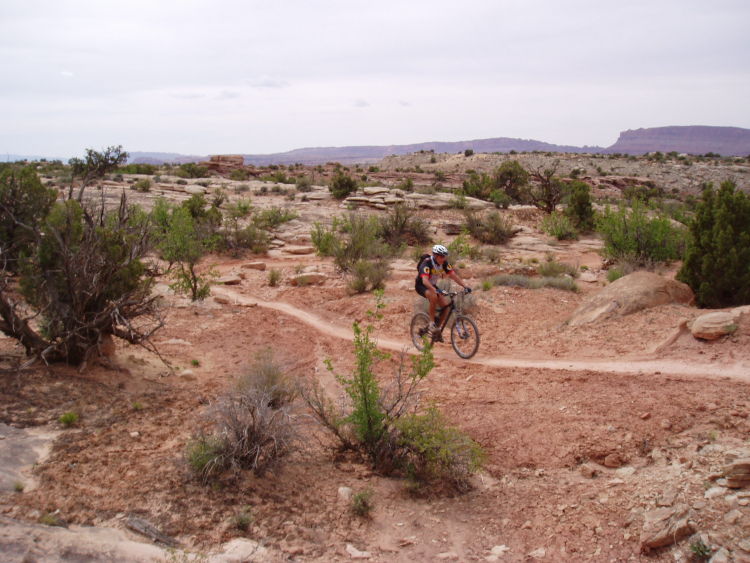 Copy of P4130056.jpg